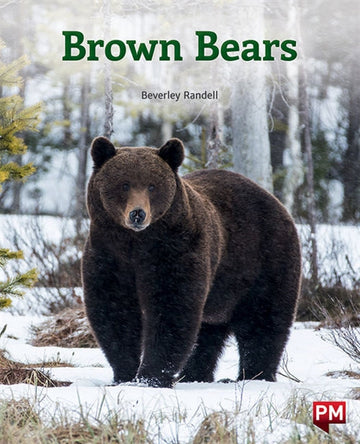 Brown Bears Book Land AU