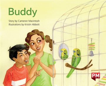 Buddy Book Land AU