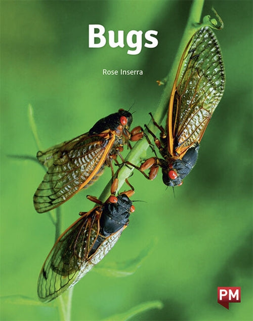 Bugs Bugs Book Land AU