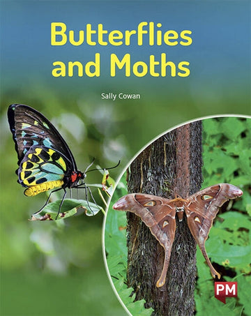 Butterflies and Moths Book Land AU
