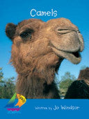 Camels Book Land AU