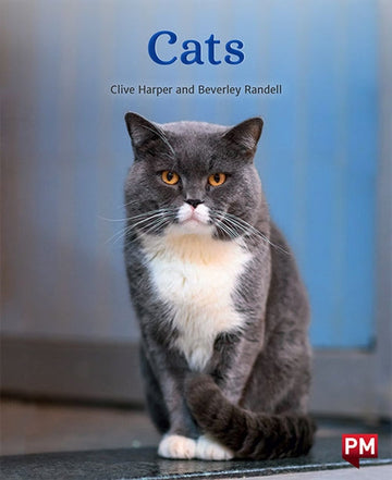 Cats Book Land AU