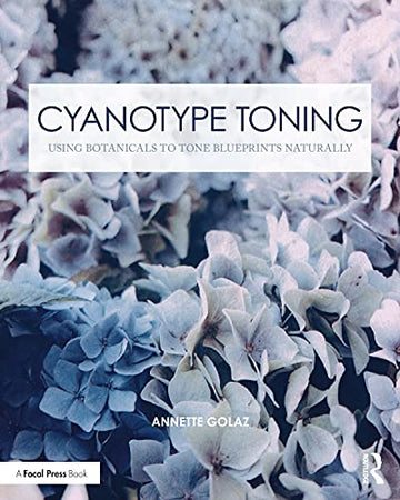 Cyanotype Toning Book Land AU