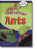 Leaf Cutter Ants