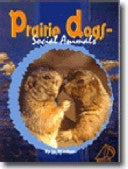 Prairie Dogs