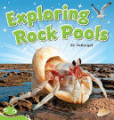 Exploring Rock Pools