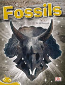 Fossils