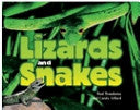 Rigby Literacy: Lizards and snakes