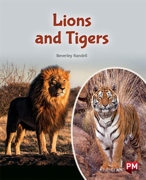 Lions and Tigers