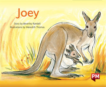 Joey