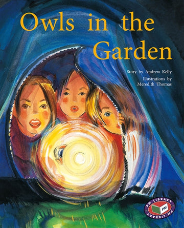 Owls in the Garden