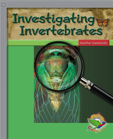Investigating Invertebrates