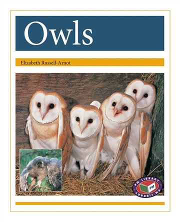 Owls