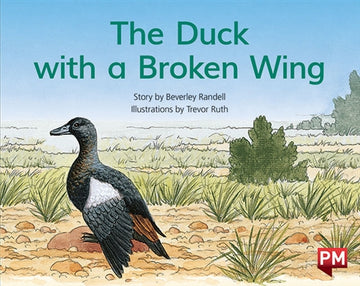 The Duck with the Broken Wing