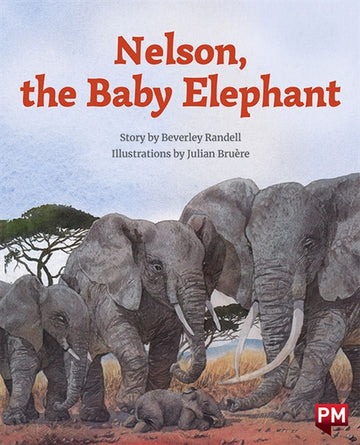 Nelson the Baby Elephant