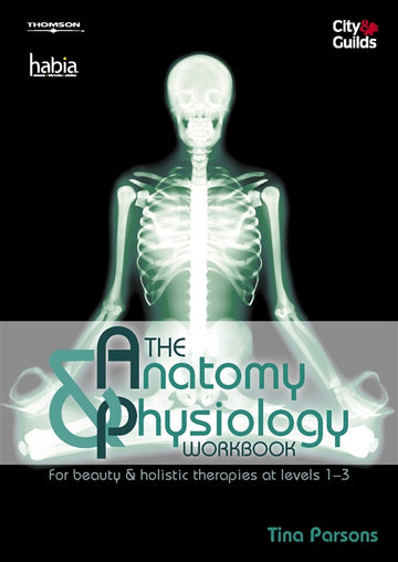 The Anatomy & Physiology Workbook : For Beauty and Holistic Therapies  at Level 1-3