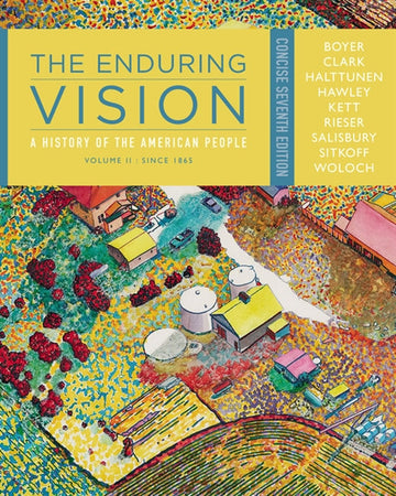The Enduring Vision : A History of the American People, Volume II:  Since 1865, Concise