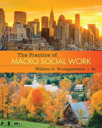 The Practice of Macro Social Work
