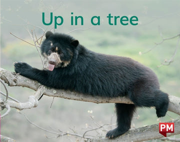 Up in a tree