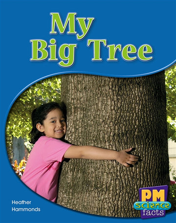 My Big Tree